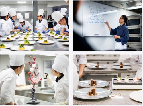 學西餐也可以出國留學,王森教育集團帶您融入行業(yè)高端圈層